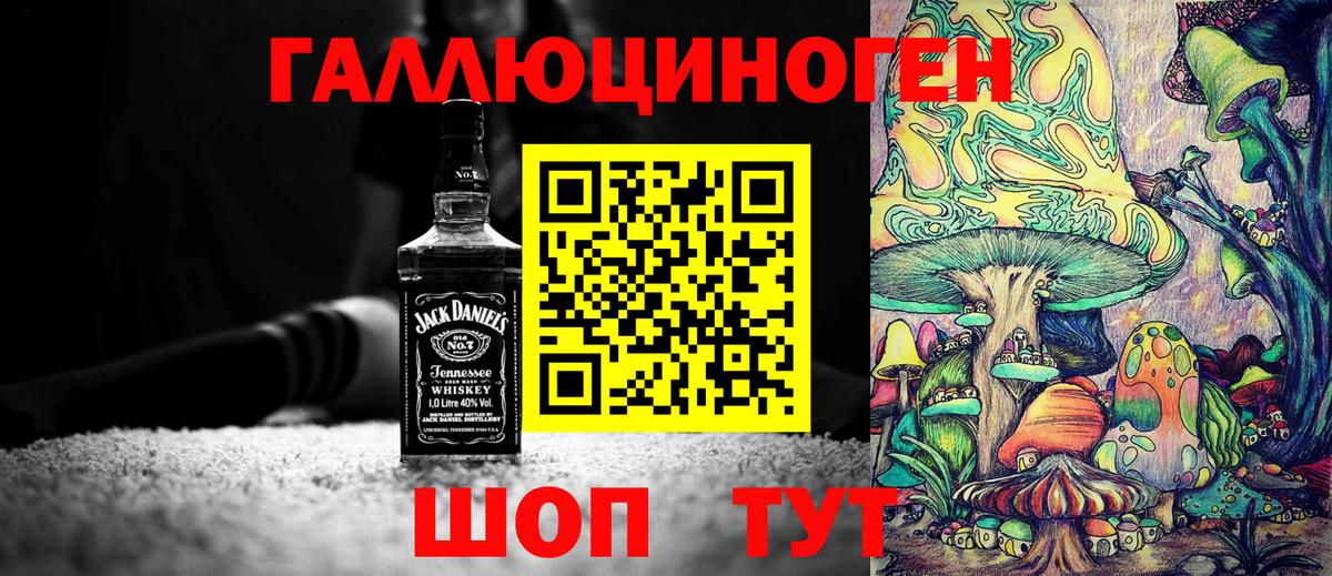 Тавда  Псилоцибиновые грибы Psilocybe  Вход с VPN  где продают наркотики  Галлюциногенные грибы прущие грибы 