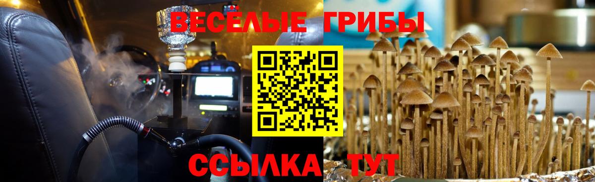 Галлюциногенные грибы ЛСД Тавда